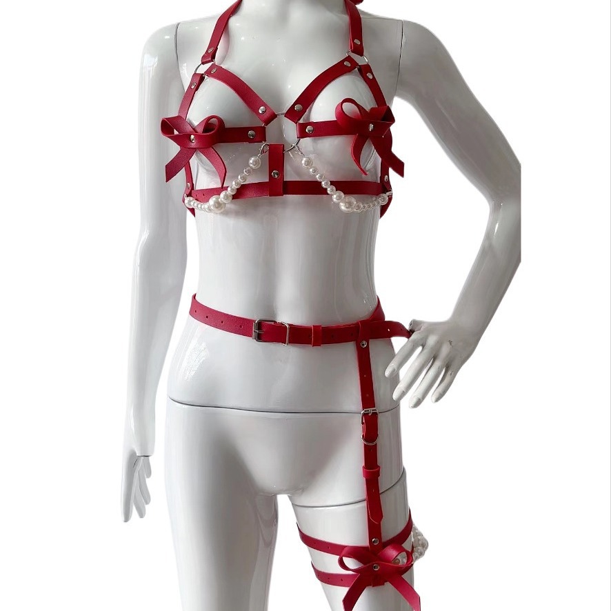 Sexy Leder Harness Frauen Set  – Garter Belt Set Bewertung und Preis